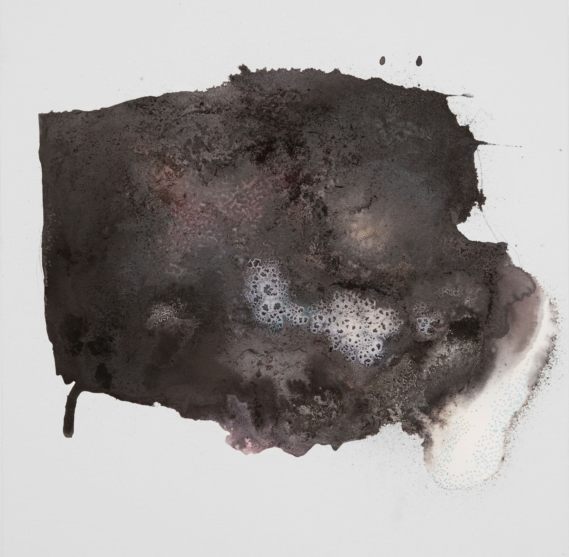 ANATTA N129 50x50 estratto di legno campeggio e tecnica mista su tela 2024