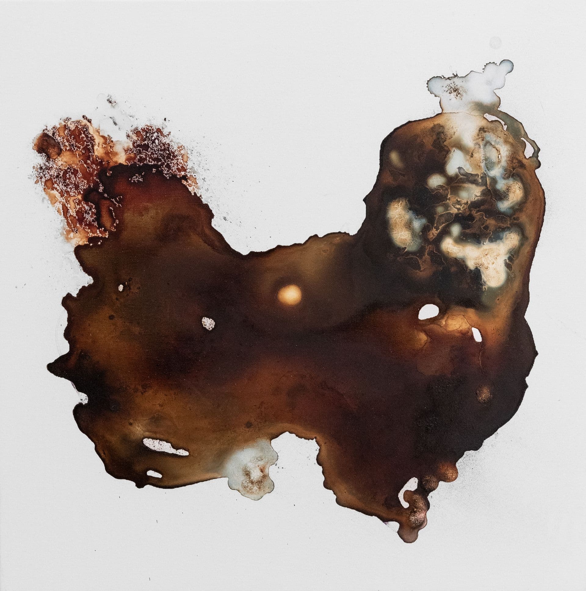 ANATTA N80 50x50 clorofille,estratto di legno castagno e tecnica mista su tela 2022