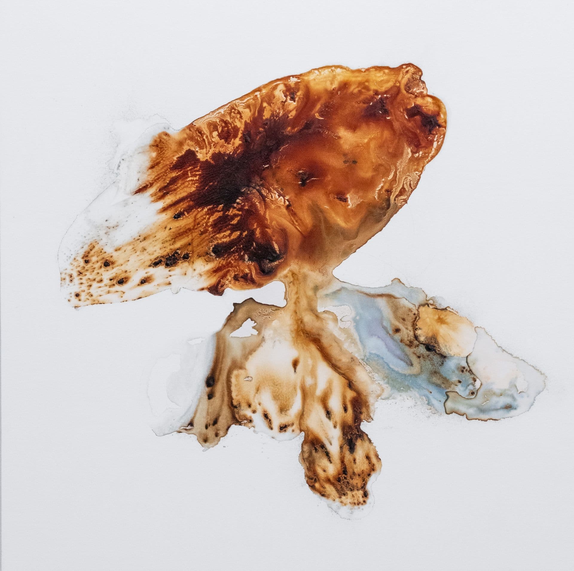 ANICCHA N19  100x100 clorofille e tecnica mista su tela 2022