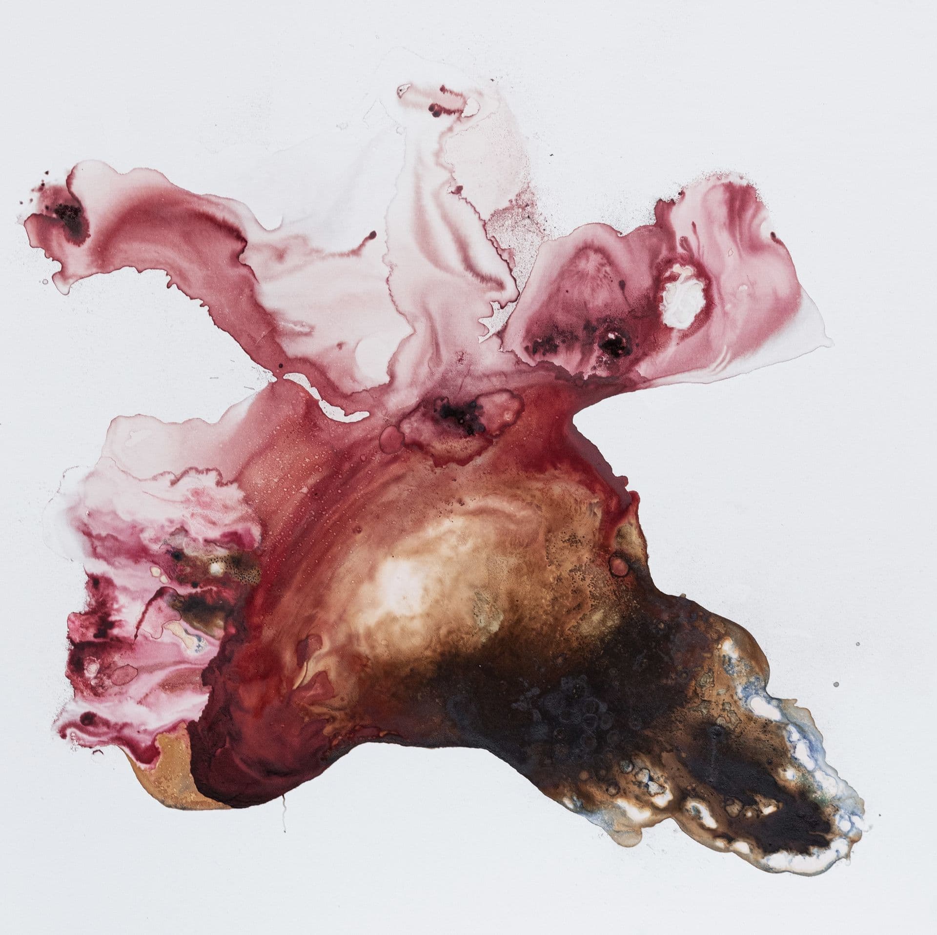 ANICCHA N43  120x120 cocciniglia, clorofille e tecnica mista su tela 2022