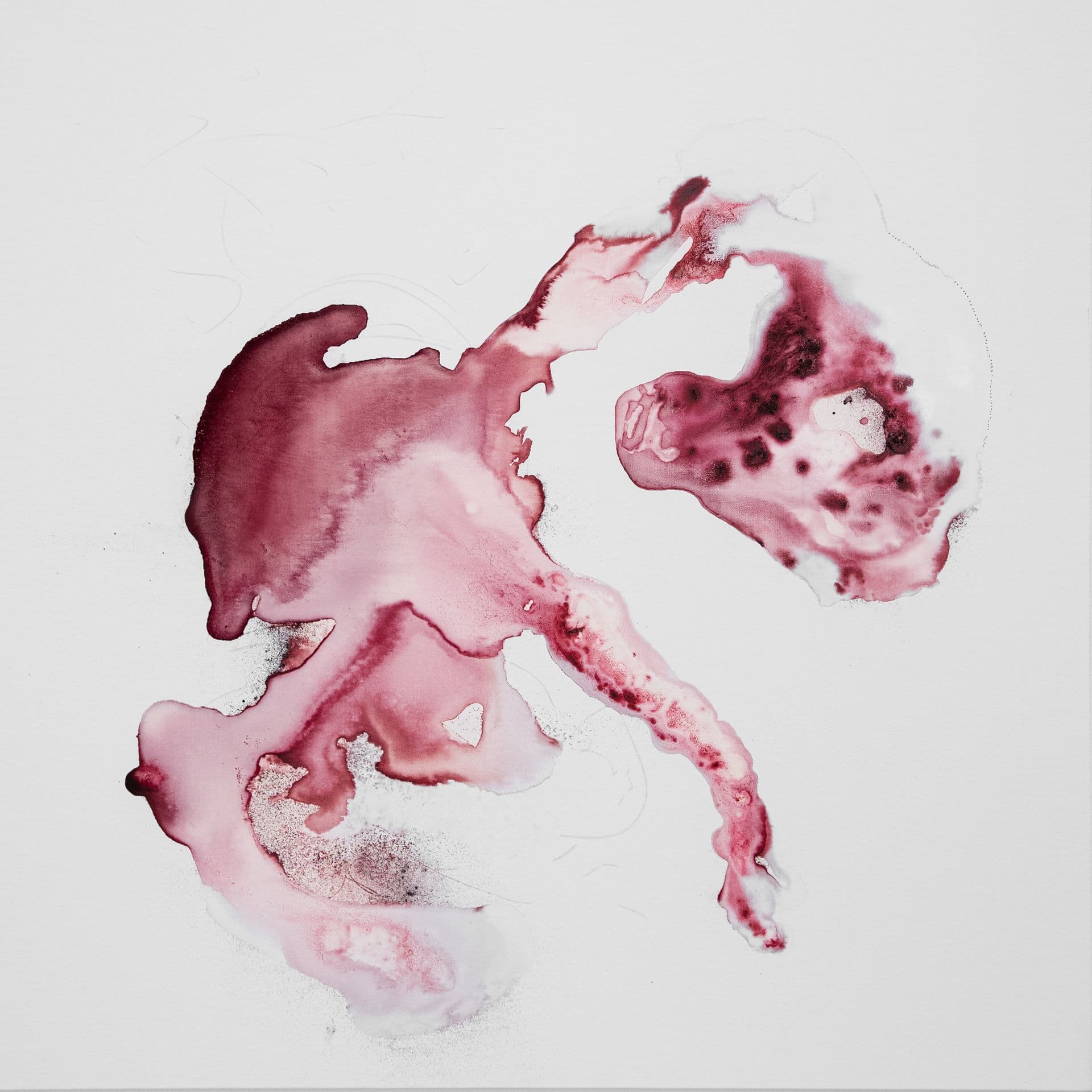 DUKKHA N13 70x70 cocciniglia e tecnica mista su tela 2023