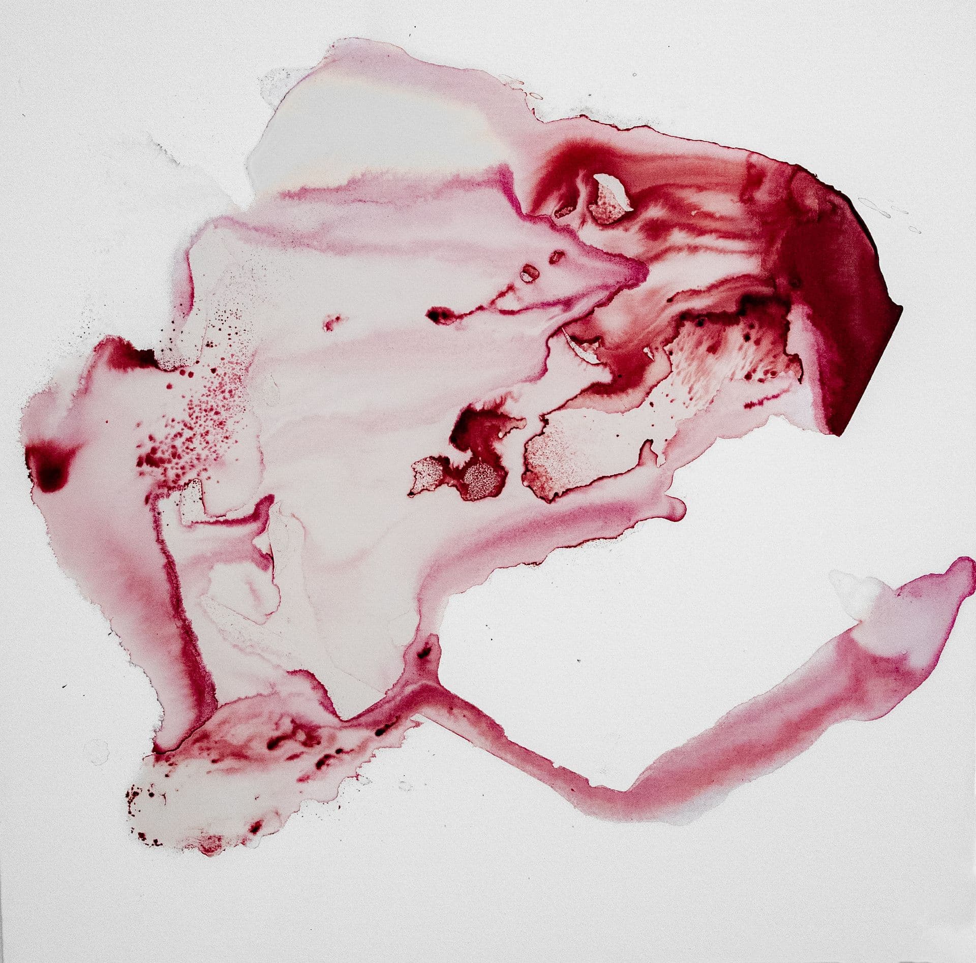 DUKKHA N5 70x70 cocciniglia e tecnica mista su tela 2021