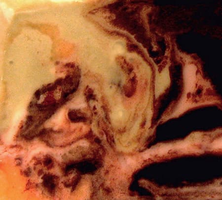 Ephemeral Entity 90 Fear