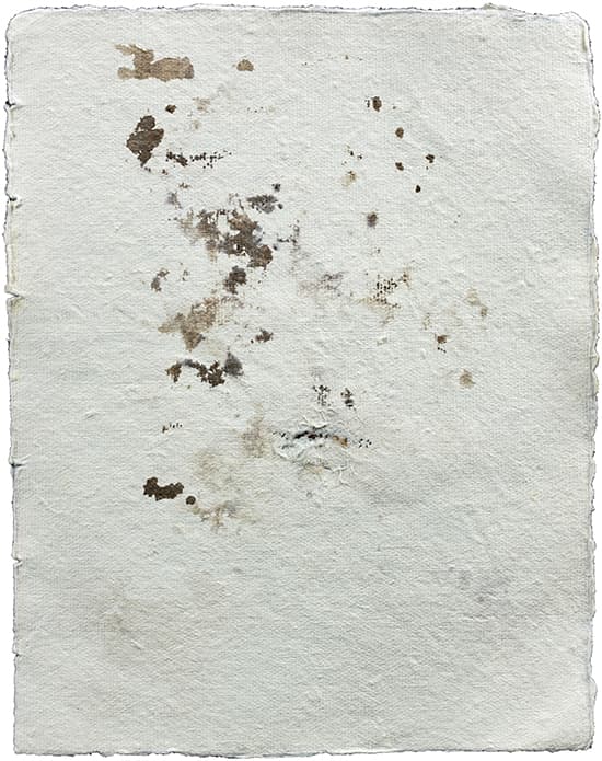 Mature Ephemeral Entity 06