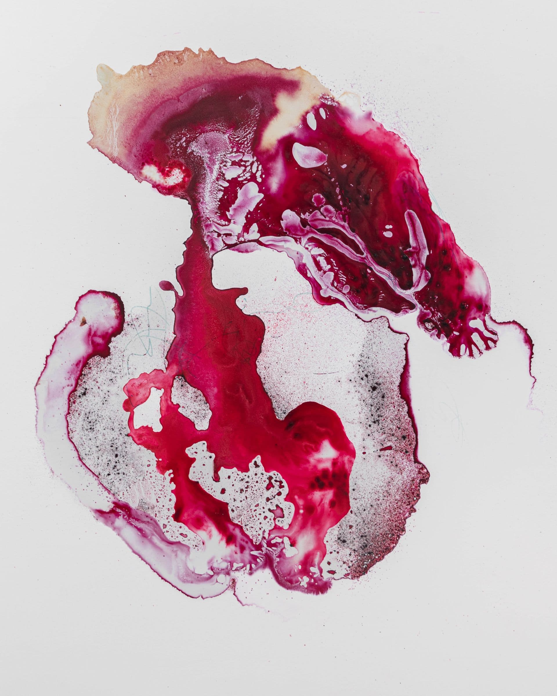 ANATTA 669 la Papessa 100x80 cocciniglia, colore a spirito e tecnica mista su polistirene espanso sintetizzato 2023