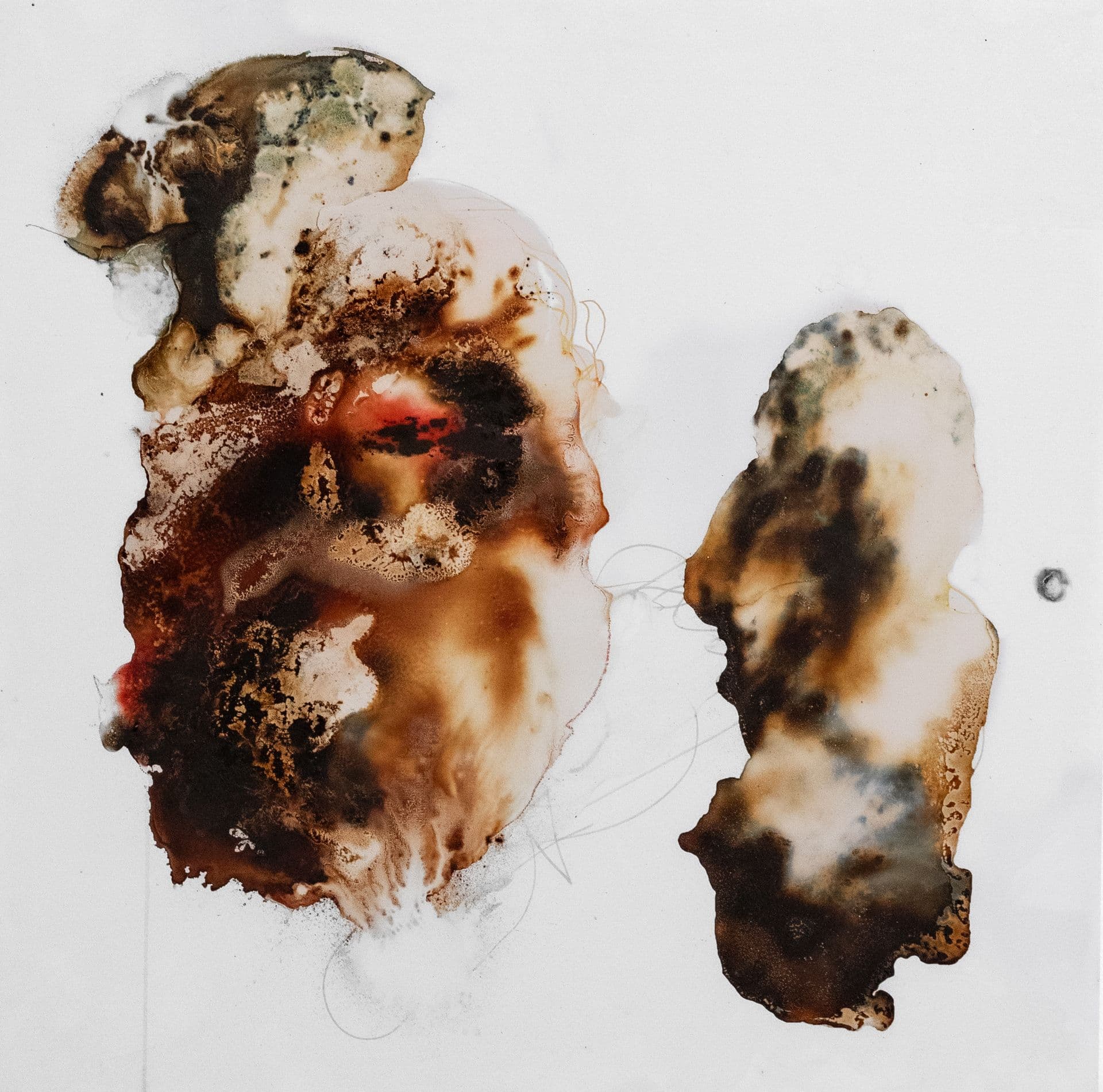 ANATTA N0 la camera oscura 80x80 estratto di Paubrasil, castagno, clorofille, colore a spirito e tecnica mista su tela 2022