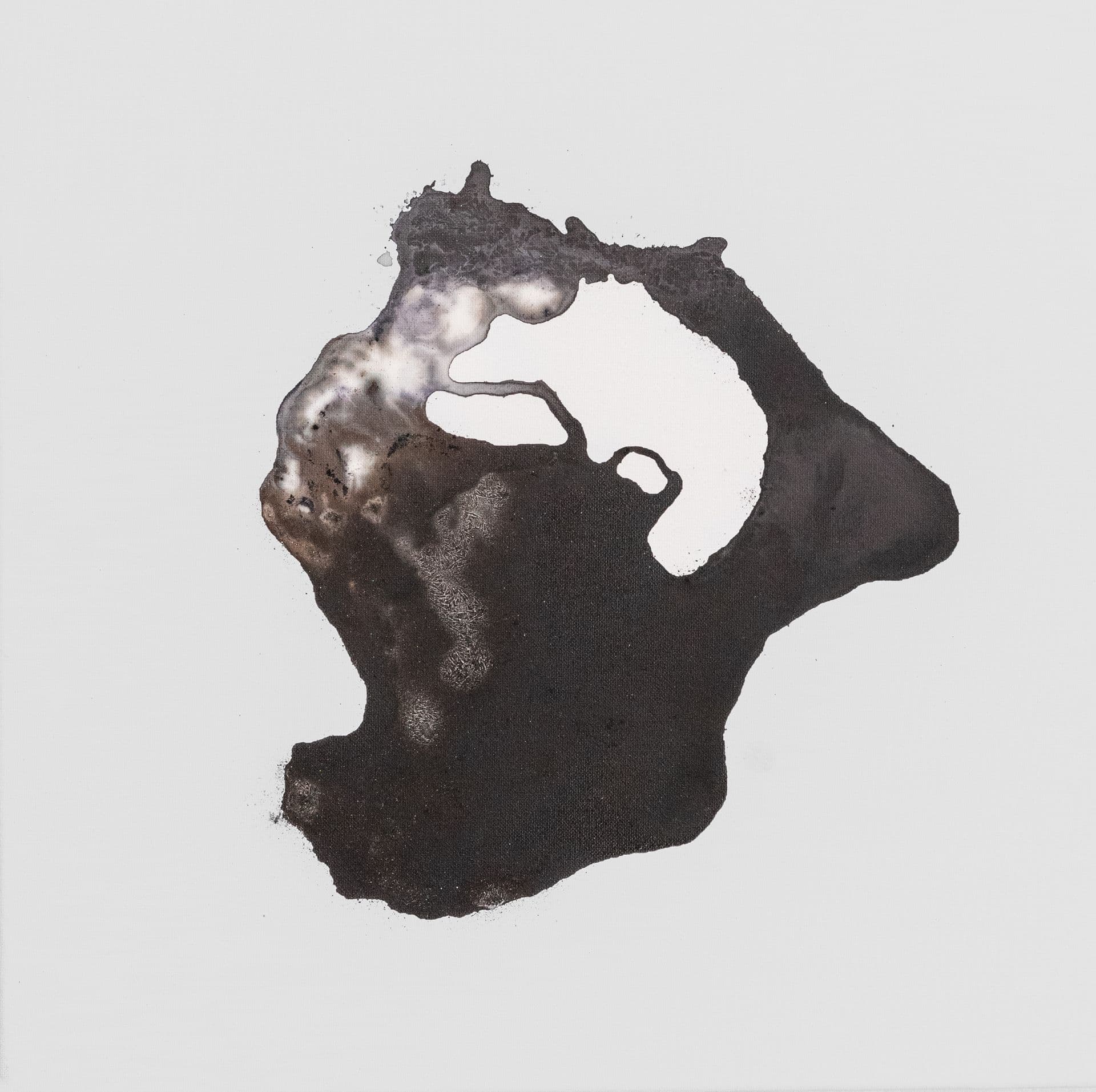 ANATTA N98 40x40 estratto di legno campeggio, pennarello a spirito e tecnica mista su tela 2023