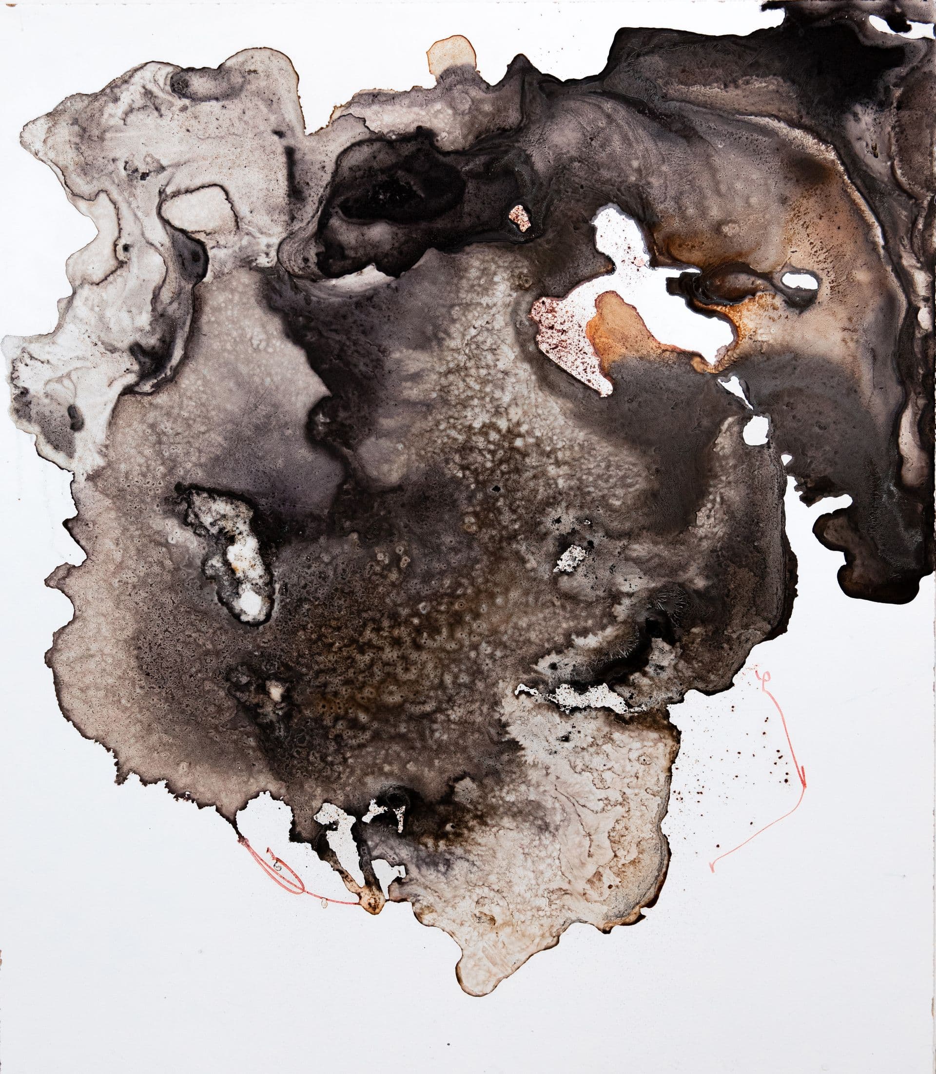 ANICCHA 47 Michael 60x50 estratto di legno campeggio e tecnica mista su tavola 2024