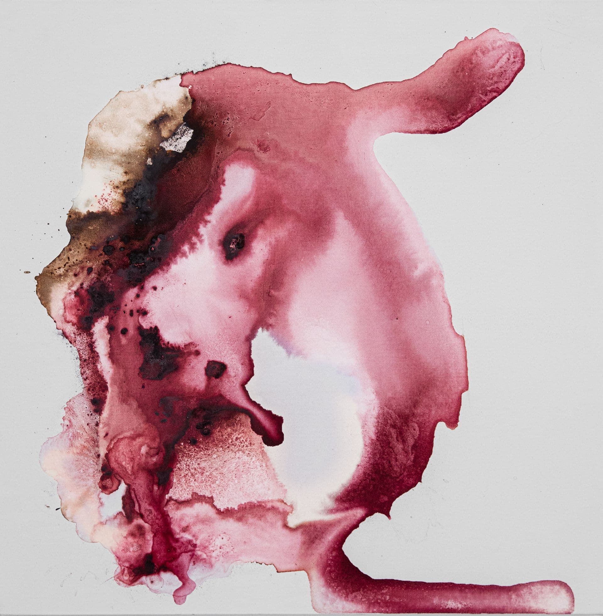 DUKKHA 126 Monstruose 60x60 cocciniglia,estratto di legno campeggio e tecnica mista su tela 2021