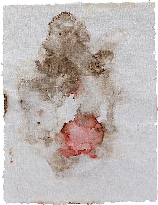 Narciso