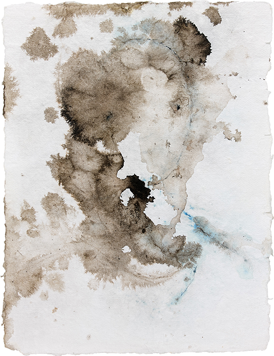 Endocetto 01